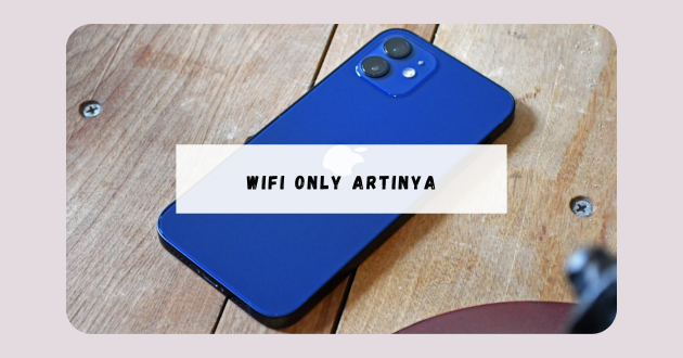 wifi only artinya